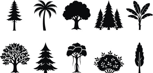 Set of black tree silhouettes including pine palm oak and banana plants for landscape and nature design art. © Emongrapic