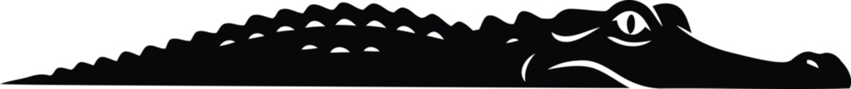 Silhouette of crocodile 