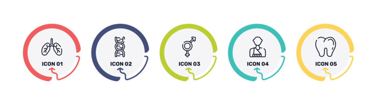 medical icons outline icon set featuring lungs organ, dna sequence, male and female, man with broken arm icons.