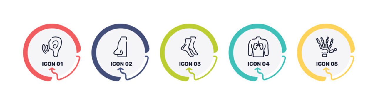 body parts outline icon set featuring ear increase audio, male e shape of a line, tiptoe feet, human with focus on the lungs icons.