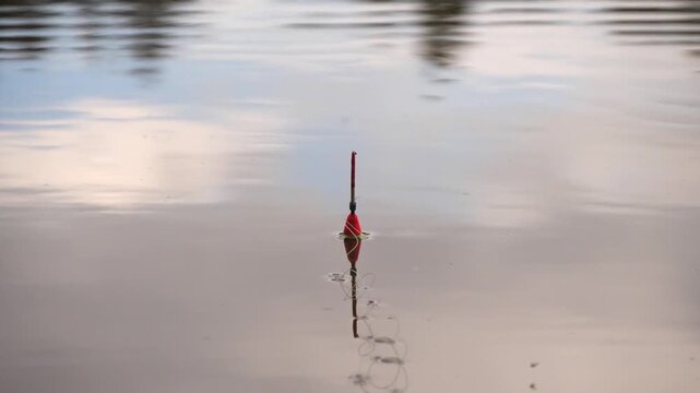 fishing float on the water close up