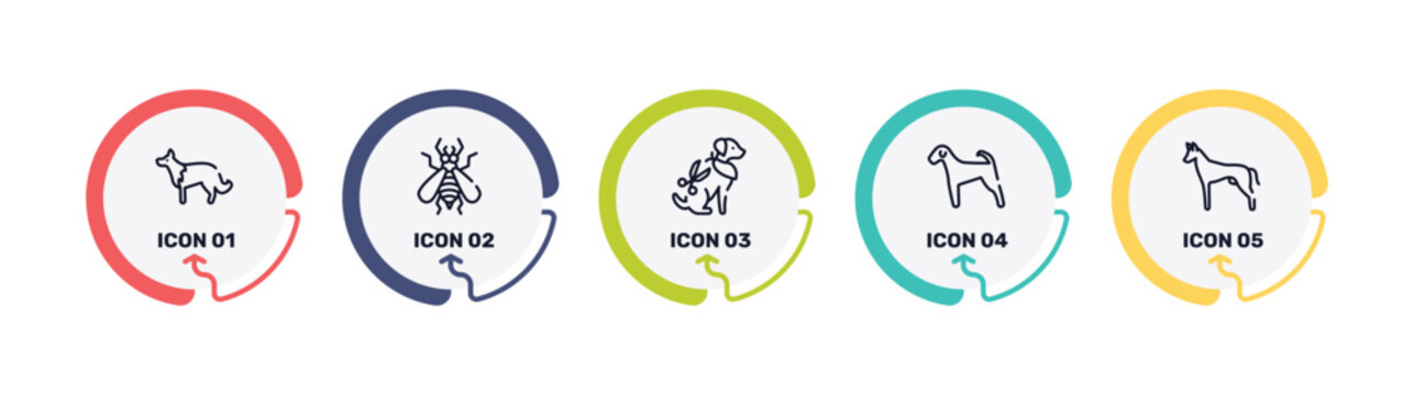 dog breeds fullbody outline icon set featuring collie, null, grooming pet, airedale icons.