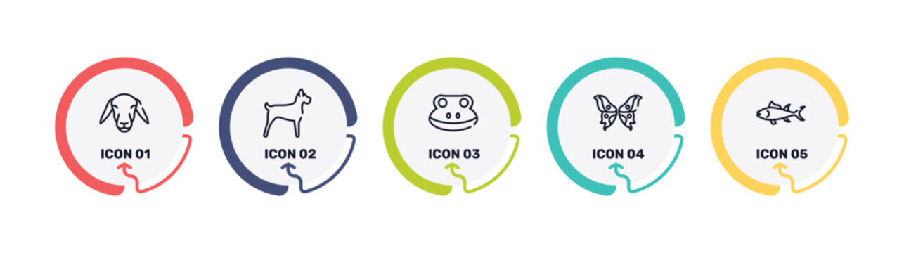 fauna outline icon set featuring female sheep head, big dog, frog head, butterfly wings icons.