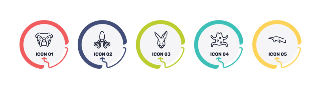 free animals outline icon set featuring bulldog head, giant squid, kangaroo head, tropical frop icons.