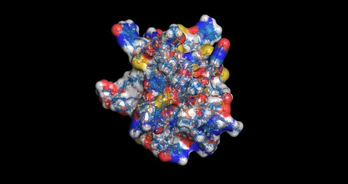 Sefaxersen, antisense oligonucleotide against hepatitis B virus, 3D molecule spinning, 4K