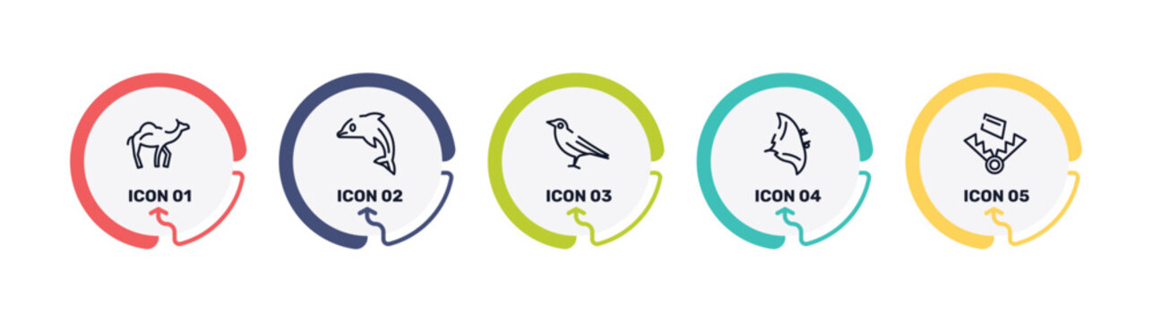 wildlife outline icon set featuring dromedary, dolphin, crow, manta ray icons.