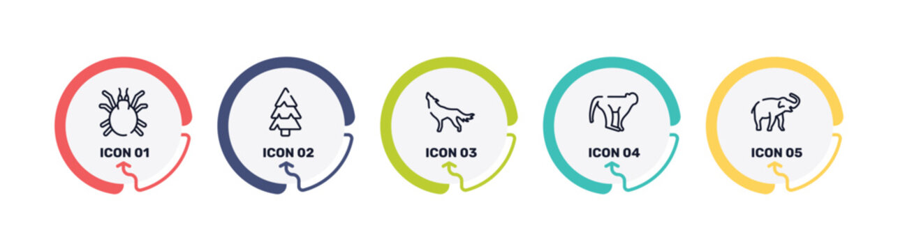 in the zoo outline icon set featuring mite, pine, wolf, monkeys icons.