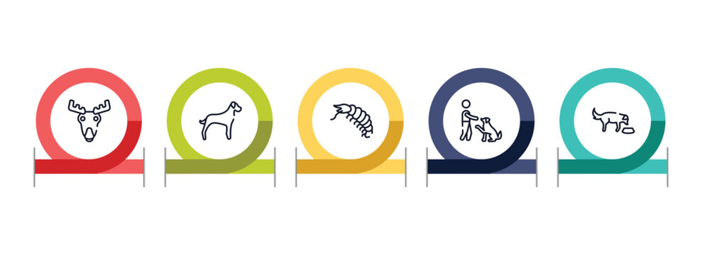 dog and training outline icon set featuring moose head, great dane, big shrimp, man and dog icons.