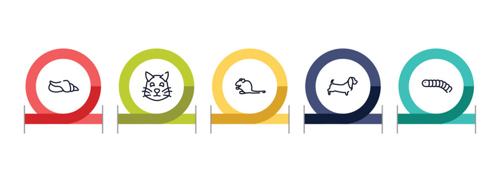 free animals outline icon set featuring seashell conch, pet cat, sitting mouse, dog with long ears icons.