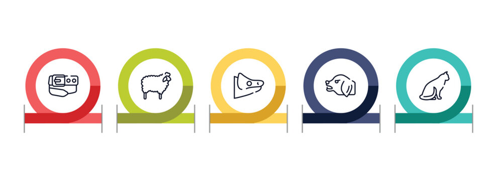 free animals outline icon set featuring belt and buckle, sheep with wool, chameleon head, angry dog icons.