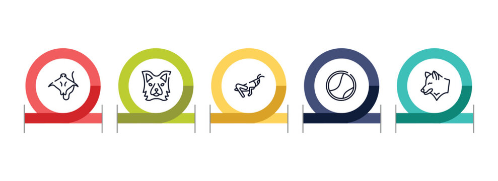 fauna outline icon set featuring stingray with long tail, border collie head, grasshopper sitting, tennis ball icons.