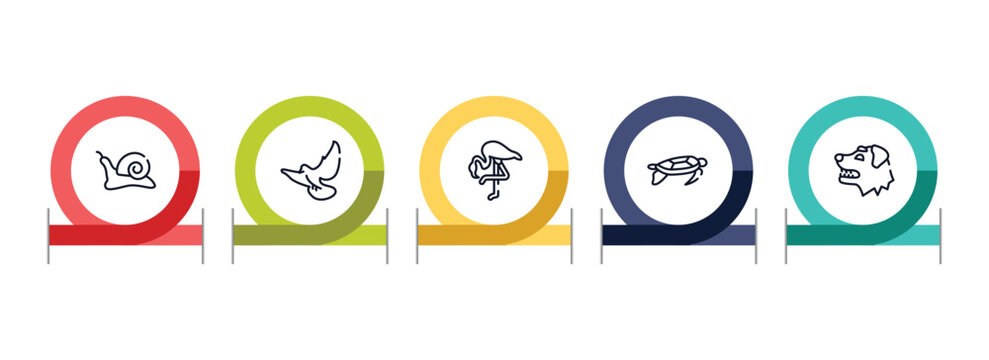 woof woof outline icon set featuring null, flying dove, flamingo with leg up, swimming turtle icons.