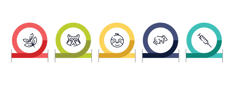 zoo outline icon set featuring herb, racoon, sloth, rat icons.
