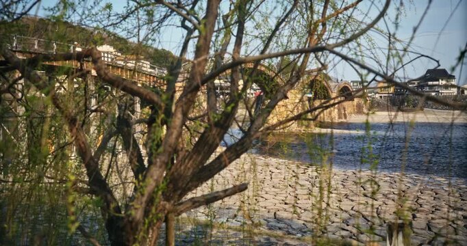 Kintai Bridge Seen Through Bare Tree Branches Over Partly Dry Riverbed - Steady Cam Movement