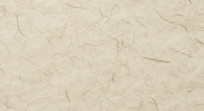 Beige kozo fiber washi paper texture with visible plant fibers