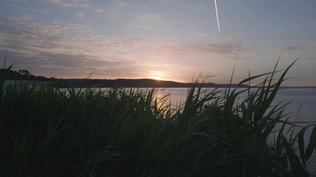 Soft pastel sunrise colours reflected on the water surface viewed over dark foreground grasses near Hannafore, Cornwall, United Kingdom