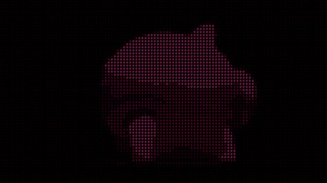 Pink ASCII characters forming rotating pig figure on black background. Suitable for finance, savings, and creative content. Retro digital style.