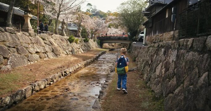 Child Walking Along Stone Canal Path With View Of Cherry Blossoms In Ancient Japanese Village