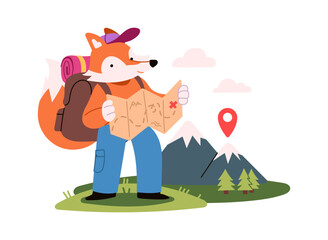 Fototapeta premium Fox Hiker Reading Map Cartoon Style