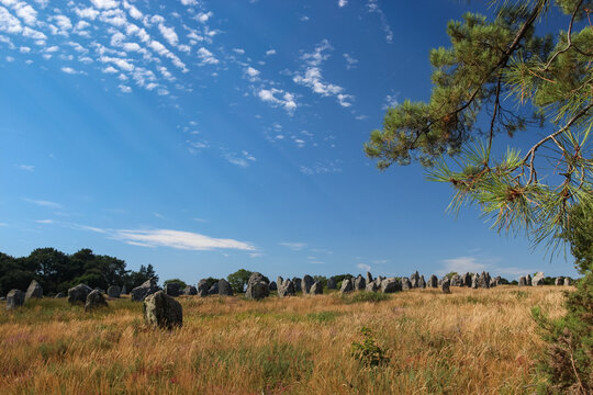Panoramic view of the prehistoric Carnac stones alignment in Brittany France under a bright blue sky