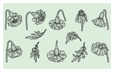 Fototapeta premium Wild Poppy and Flower Bud Icon Set - Herbal Wellness and Botanical Branding Design
