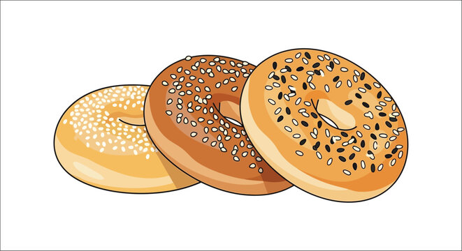 Three bagels with sesame and poppy seeds a colorful vector illustration on a white background