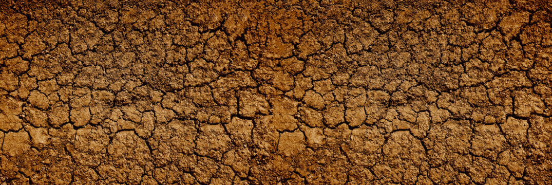 Crack cracked texture lines isolated on black land soil background grunge style cracked texture with cracked pattern abstract backdrop Black white cracked earth texture with dry dried ground pattern