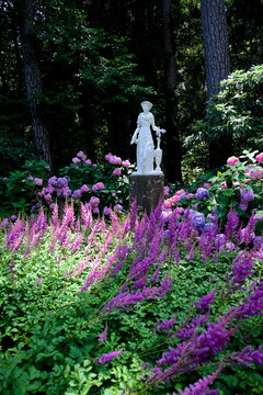 Classical white marble statue surrounded by purple astilbe and hydrangea flowers in Munich botanical garden