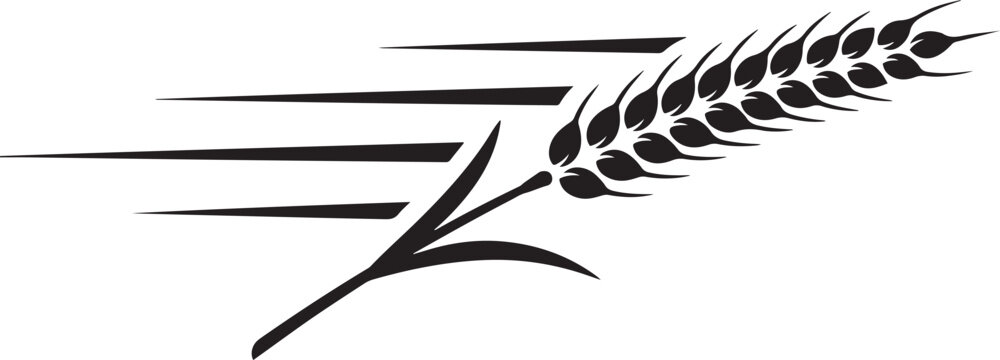 Dynamic wheat grain stalk with speed lines for fast food delivery concept agriculture delivery illustration. black icon silhouette vector