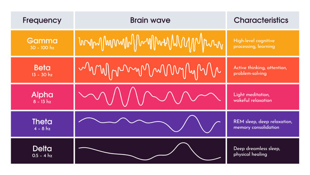 EEG brain waves diagram. Educational medical infographics with different kinds of waveforms produced by brain activity. Analysis of cognitive functions. Flat Human made vector illustration