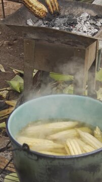 Boiling and grilling fresh corn on the cob outdoors