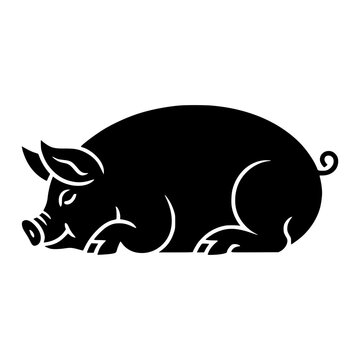 Sleeping Pig