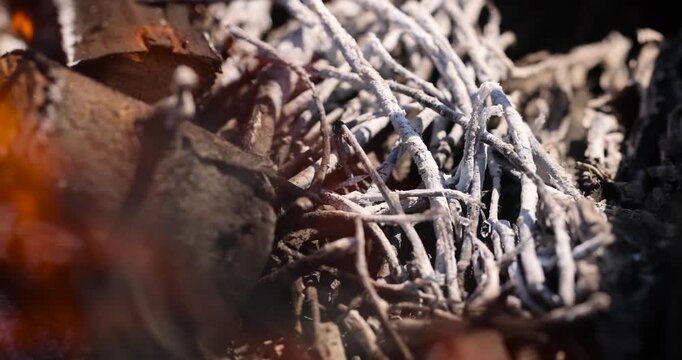 The branches of a tree are burning in a bonfire, thin dry branches covered with white ash and orange flames in a forest fire, with clear details and a natural organic texture in the macro.