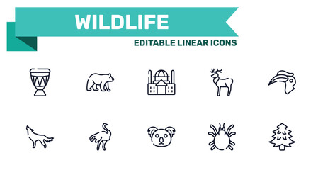 wildlife outline icon set featuring drum, carnivore, koala, mite icons. © VectorStockDesign
