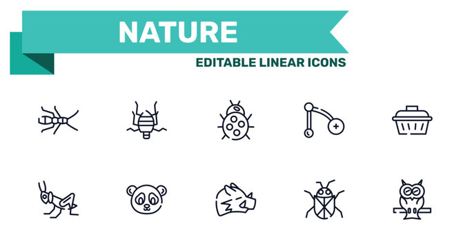 nature outline icon set featuring earwig, bedbug, boar, beetle icons.