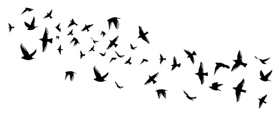 Obraz premium Flying birds silhouette flock. hand drawing. Not AI. Vector illustration