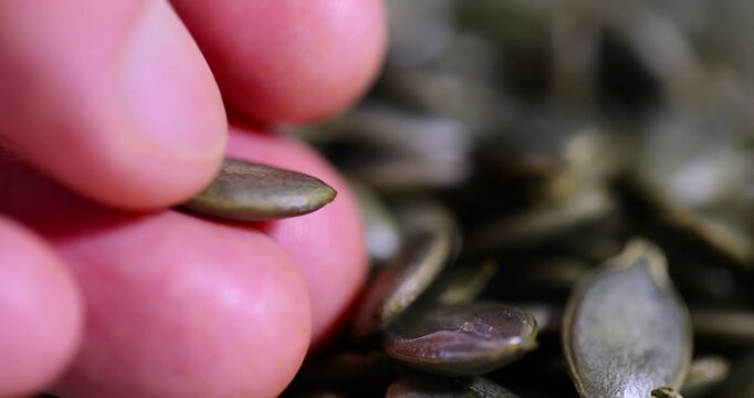 fresh green pumpkin seeds without shells, ripe healthy fresh pumpkin seeds, the seeds are raw and dried.