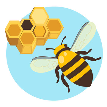 Illustration of a bee near honeycombs with a blue background