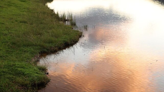 pond, reflections and grass at dusk
