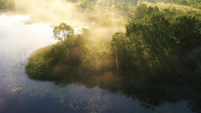 Misty morning landscape with river and trees in golden sunlight, 4K drone shot