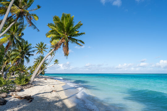 Tropical island in the South Seas, Fakarava Atoll, French Polynesia