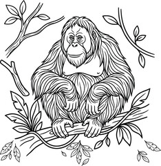 High-quality black and white line art vector illustration of a wild orangutan sitting on a leafy branch © All Animation