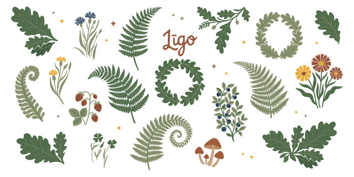Midsummer Ligo forest vector elements set. Oak leaves wreaths, ferns, wild berries, chanterelle mushrooms, cornflowers and clover for Latvian Jani celebration. Traditional Nordic solstice clip art.