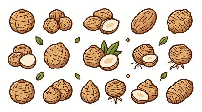 Tiger nut vector illustration set pack with whole tubers, sliced pieces, roots, and green leaves in cartoon style