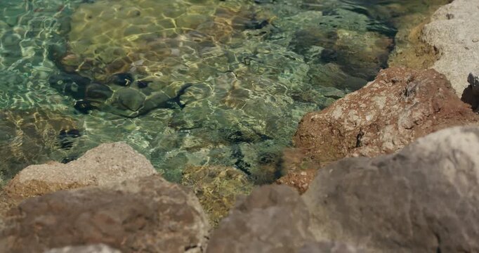 Crystal clear Adriatic water reveals submerged rocks along the coast in Primosten, Croatia.