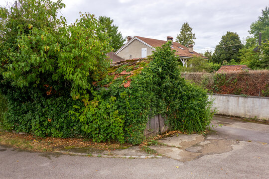 Rustic village street with overgrown garden in Russin