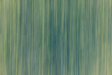 Fototapeta premium Green nature abstract background with motion blur