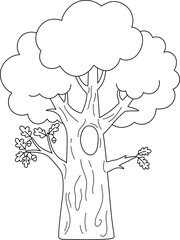 Naklejka premium Vector black and white cartoon oak icon. Garden, forest, woodland line tree with acorns, trunk, hollow, leaves. Outline spring, farm plant illustration. Natural greenery picture, coloring page