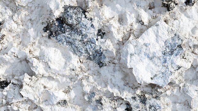 White Marble Texture with Gray Veins