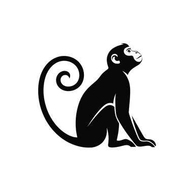 A silhouette of a monkey with a curled tail sits and looks upwards.